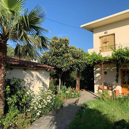 Villa Fatima Vryses Exteriér fotografie