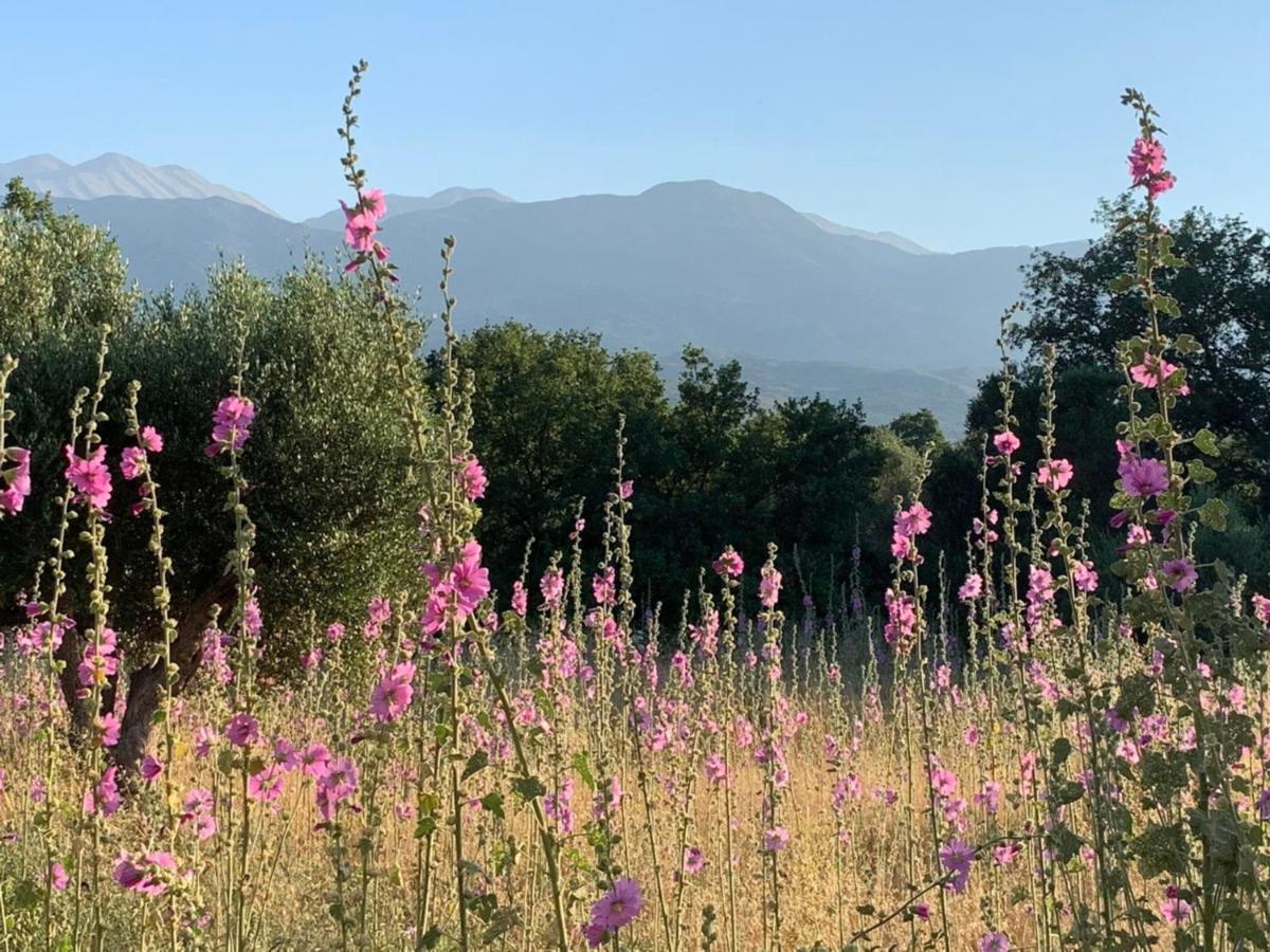 Villa Fatima Vryses Exteriér fotografie